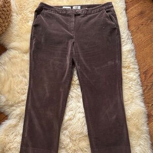 PLUS Velvet Stretch Brown Pants. Talbots, Size 16W